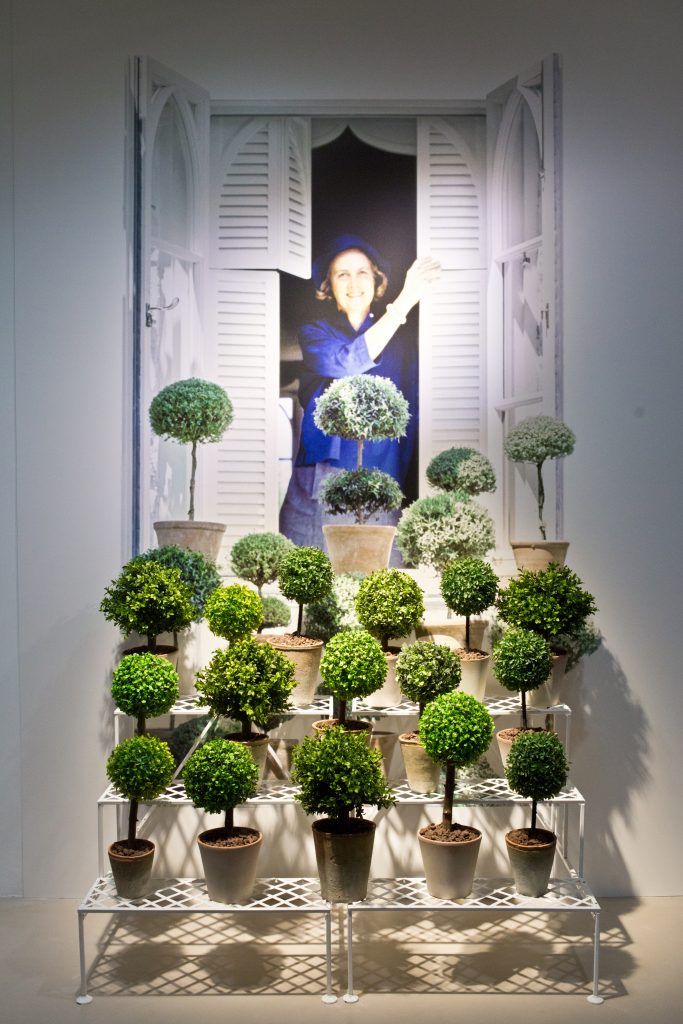 Exhibition display of small trees in pots in front of a shuttered window installation