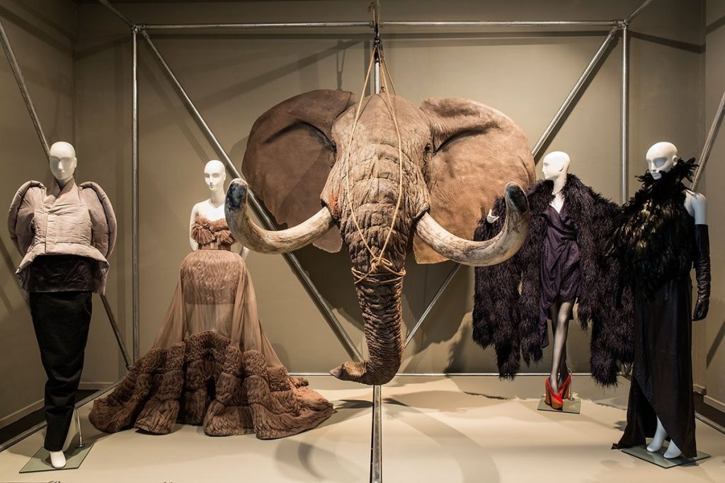 Exhibition display of dressed mannequins and elephant's head