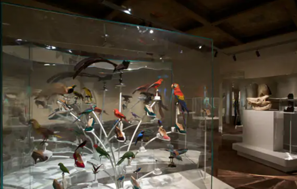 Exhibition display of shoes with stuffed birds on metal plinths