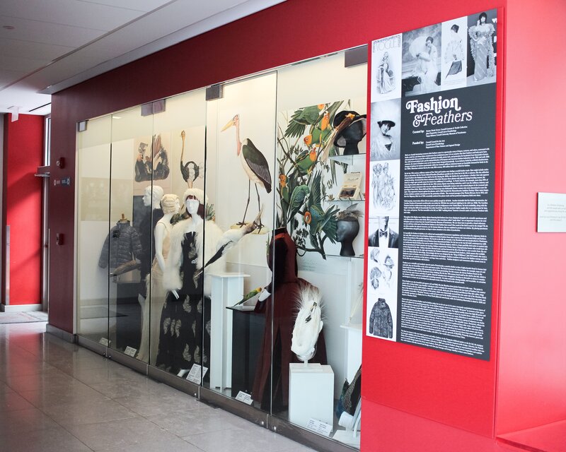Exhibition display of dressed mannequins with backdrop of birds in glass case with red wall surround and exhibition panel