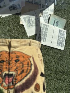 On a flat lay display which is green grass, is a pair of cord yellow trousers with a roaring yellow and black striped tiger on the front. Above the trousers are a series of black and white photographs.